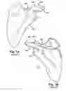 Fig. 02 - SYSTEM OF PREOPERATIVE PLANNING AND PROVISION OF PATIENT-SPECIFIC SURGICAL AIDS