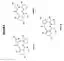 Fig. 34 - Isolation and use of ryanodine receptors