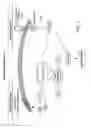 Fig. 02 - KITS FOR MULTIPARAMETRIC PHOSPHO ANALYSIS