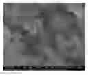 Fig. 01 - Porous polymer monoliths, processes for preparation and use thereof