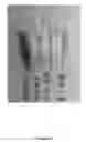 Fig. 06 - Porous polymer monoliths, processes for preparation and use thereof
