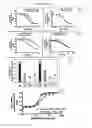 Fig. 07 - Polynucleotides encoding antibodies against sclerostin and uses therefor