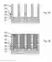 Fig. 09 - Patterning method for high density pillar structures