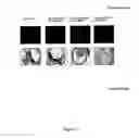 Fig. 02 - Means and methods for the specific modulation of target genes in the CNS and the eye and methods for their identification