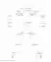 Fig. 01 - BODY MOTION STAFF, PRODUCING MODULE, IMAGE PROCESSING MODULE AND MOTION REPLICATION MODULE