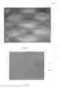 Fig. 08 - Absorbent Members Having Skewed Density Profile