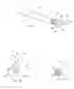 Fig. 24 - System and method for percutaneous mitral valve repair