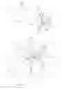 Fig. 61 - System and method for percutaneous mitral valve repair