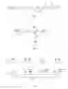 Fig. 05 - Fibre optic distributed sensing