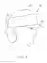 Fig. 09 - Visored cloth headgear