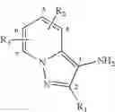 Fig. 09 - Dye composition comprising a heterocyclic oxidation base and an indole coupler