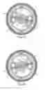 Fig. 10 - Ring disk reciprocating power conversion device