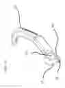 Fig. 13 - Motorcycle Lever Protection Guard