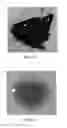 Fig. 08 - CARBONACEOUS MATERIAL UPGRADING USING SUPERCRITICAL FLUIDS