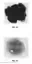 Fig. 09 - CARBONACEOUS MATERIAL UPGRADING USING SUPERCRITICAL FLUIDS
