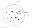 Fig. 02 - Compositions for polishing silicon-containing substrates