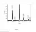 Fig. 07 - Method for Forming an Ink