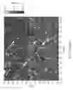 Fig. 75 - Chemically-sensitive sample and hold sensors