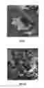 Fig. 07 - APPARATUS AND METHOD FOR PRODUCING A MULTICRYSTALLINE MATERIAL HAVING LARGE GRAIN SIZES