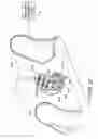 Fig. 21 - Vehicle seat cushion with inflatable support