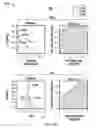 Fig. 24 - Measuring biological tissue parameters using diffusion magnetic resonance imaging