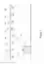 Fig. 02 - RFID system with time slot interleaving