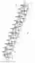 Fig. 05 - Multiband antenna