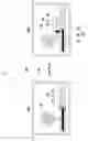 Fig. 05 - Method for finely controlling contents and portable terminal supporting the same