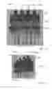 Fig. 14 - Connectivity depended geometry optimization for real-time rendering