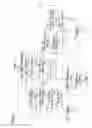 Fig. 07 - Electronic device, imaging device, image reproduction method, image reproduction program, recording medium with image reproduction program recorded thereupon, and image reproduction device