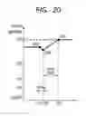 Fig. 18 - Automatic focusing apparatus with cyclic pattern determination