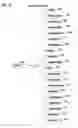 Fig. 12 - Sensory effect media generating and consuming method and apparatus thereof