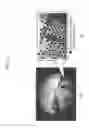 Fig. 12 - Image processing device, image processing method, and program for image processing for correcting displacement between pictures obtained by temporally-continuous capturing