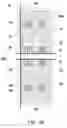 Fig. 04 - Liquid crystal display panel
