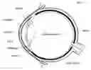 Fig. 01 - Image-processor-controlled misalignment-reduction for ophthalmic systems