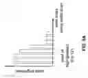 Fig. 08 - Image-processor-controlled misalignment-reduction for ophthalmic systems