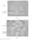 Fig. 02 - NICKEL-BASE ALLOY