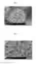 Fig. 02 - Method of controlling aspect ratio of nano-structure, method of producing nano-structure using the same and nano-structure produced thereby
