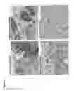 Fig. 22 - Methods for increasing efficacy of FOLR1 cancer therapy