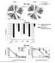 Fig. 28 - Neutralizing antibodies to HIV-1 and their use