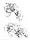 Fig. 63 - Neutralizing antibodies to HIV-1 and their use
