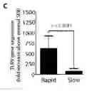 Fig. 04 - BIOMARKERS PREDICTIVE OF PROGRESSION OF FIBROSIS