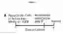 Fig. 06 - BIOMARKERS PREDICTIVE OF PROGRESSION OF FIBROSIS