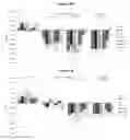 Fig. 22 - FGF21 conjugates and anti-diabetic uses thereof