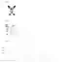 Fig. 07 - Bi-specific digoxigenin binding antibodies