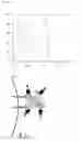 Fig. 77 - Bi-specific digoxigenin binding antibodies