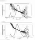 Fig. 99 - Bi-specific digoxigenin binding antibodies