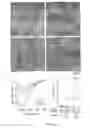 Fig. 03 - Methods and compositions related to immunogenic fibrils