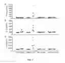 Fig. 06 - Methods and compositions related to immunogenic fibrils