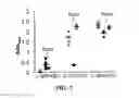 Fig. 08 - Methods and compositions related to immunogenic fibrils